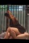 Pasangan mesum di teras Rumah Hampir Ketauan Pasangan mesum di teras Rumah Hampir Ketauan, Kumpulan Video Dewasa , Pusat Film Dewasa, Video Viral , Viral 2026, Film Hot Dewasa, Hasrat21, Nonton Film Dewasa, Video Hot, Kinghasrat